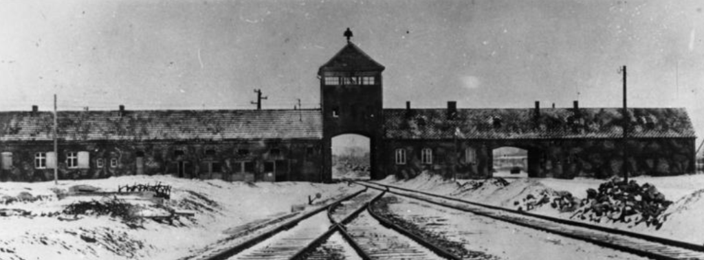 2018-12-07 18_10_11-Anlässlich des 76. Jahrestages des Auschwitz-Erlasses - Google-Suche